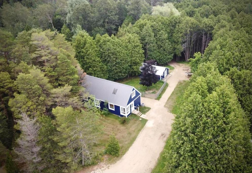 Cottage Retreat On 11 Acres Flesherton Dış mekan fotoğraf
